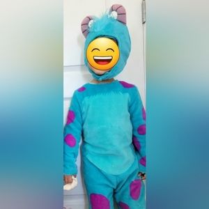 Monsters Inc Costume- Sully